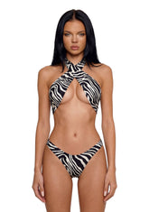 base|zebra