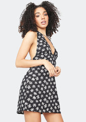 rollover