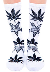 base importc one small thumbnail