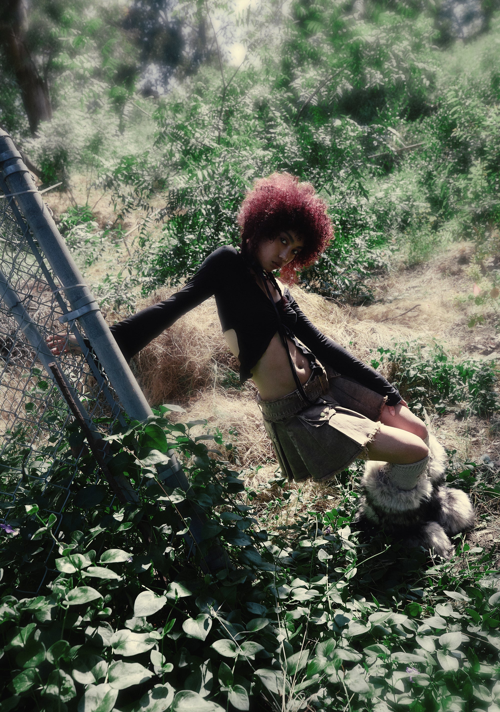 six|brown