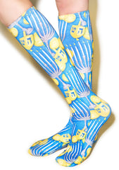 five rollover